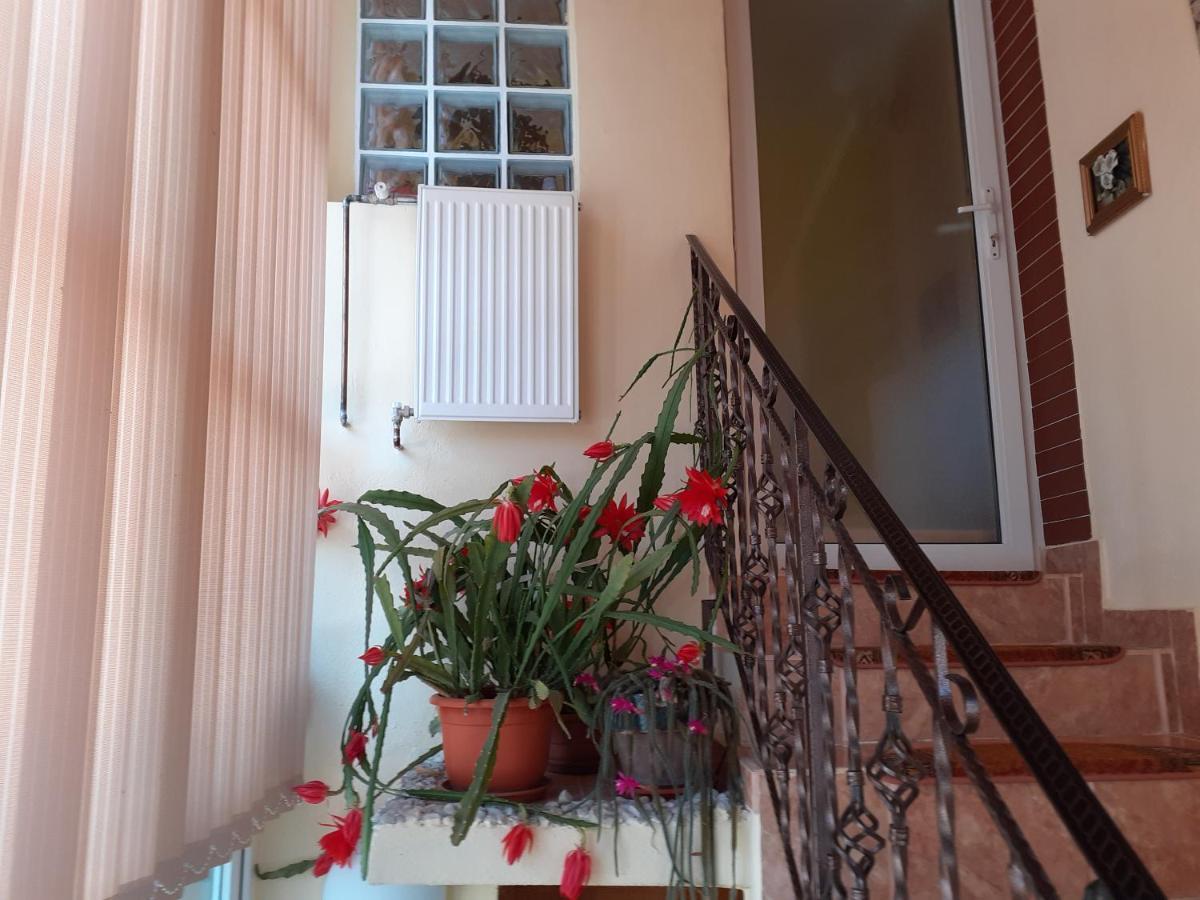 Апартаменти Vinatoru Apartament Intrare Prin Strada Sculptor Constantin Baraschi Кимпулунґ Екстер'єр фото